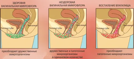 Sturz înainte de menstruație și cauze de tratament