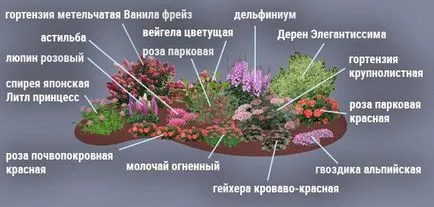 Monoklumba modul de organizare flori alb-negru