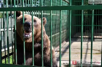 Parcul Național pădure Oryol, Regiunea Oriol - „Zoo Orel pădure - acolo