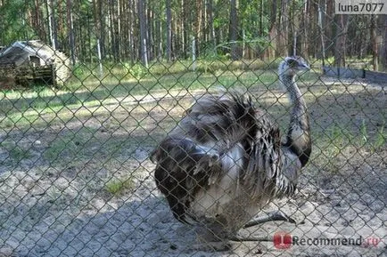 Parcul Național pădure Oryol, Regiunea Oriol - „Zoo Orel pădure - acolo