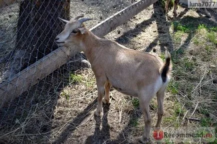 Parcul Național pădure Oryol, Regiunea Oriol - „Zoo Orel pădure - acolo