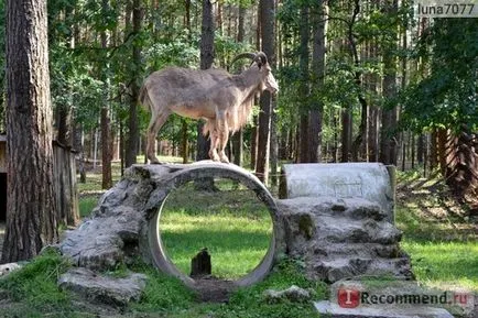 Parcul Național pădure Oryol, Regiunea Oriol - „Zoo Orel pădure - acolo