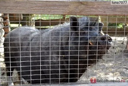 Parcul Național pădure Oryol, Regiunea Oriol - „Zoo Orel pădure - acolo