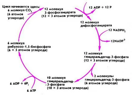 Нитратите - че такива нитрати формула получаване, приложението действие