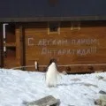 Зруб лазні або як зрубати лазню з бруса своїми руками (зруб) Зруб лазні або як зрубати лазню з бруса своїми руками
