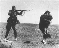 Списки учасників великої вітчизняної війни (списки) Списки учасників великої вітчизняної війни