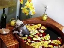 Spa-вальну процедури для собак особливі процедури для чотириногих (чотириногих) Spa-вальну процедури для собак особливі процедури для чотириногих