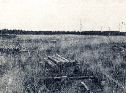 Суцільні рубки +1949 ейтінген г