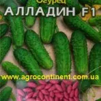 Castraveți tratate și acoperite (poloneză și selecție internă) magazin online pentru semințe -