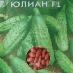 Краставиците лекувани и покритие (полски и вътрешен избор) онлайн магазин за семена -