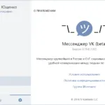 Prezentare generală vk messenger pentru desktop