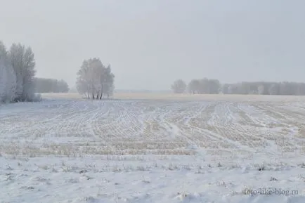 Egy fagyos, ködös reggel, a blog amatours