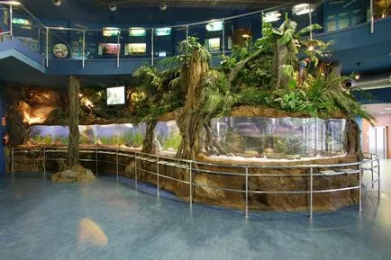 Oceanarium Barcelona