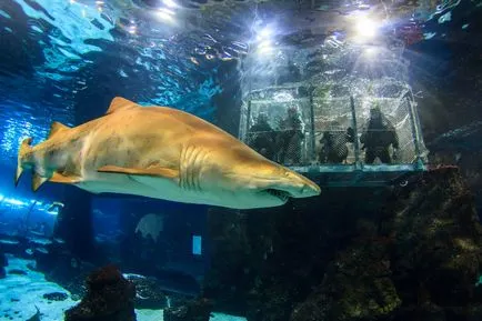 Oceanarium в Барселона