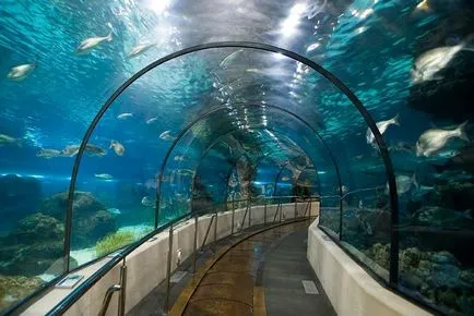 Oceanarium Barcelona