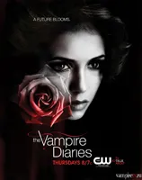 Descrierea seriei The Vampire Diaries serialul TV