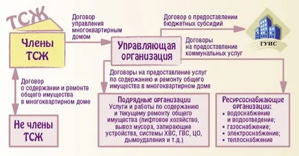 Organizarea activității de HOA, MAS „reformă Centru de locuințe