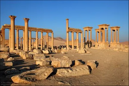 Palmyra - un oraș mare în deșert - fotografii interesante