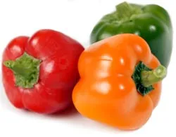 Capsicum annuum tulajdonságai, előnyei és hátrányai