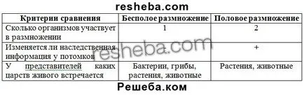 Параграф 17 (онлайн) параграф 17