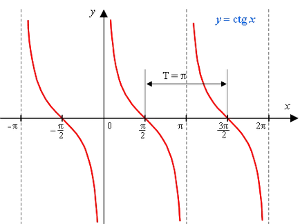 Site personal - funcția y sin x, y cos x, y mf (x), y f (kx), y tg x, y ctg x