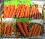 Защо моркови чубрица