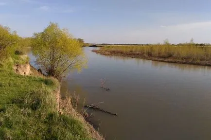 Защо в България реки растат плитки, актуални теми, въпроси и отговори, аргументи и факти