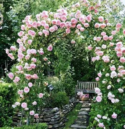 Hegymászás rózsakertben megfelelő ellátást 35 ívek rózsa
