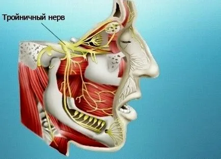 De ce trage în templu din stânga - cauze semnificative