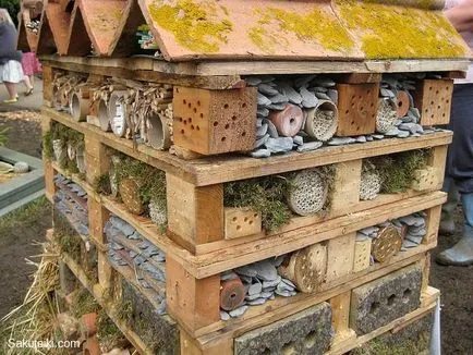 Folosirea insectelor în grădină