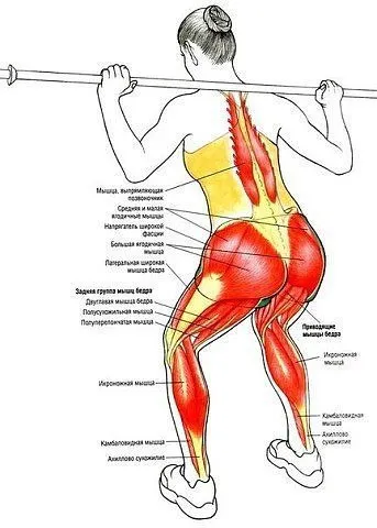 Corect abdomene la partea de sus a exercițiilor fese