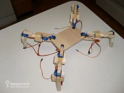 Lépésről lépésre útmutató az épület egy robot diy fier