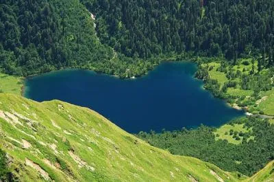 Természet, növények és állatok a Krasznodar terület