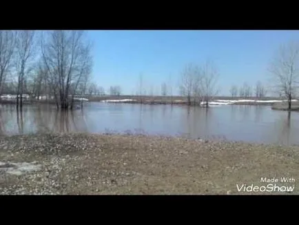 Трейлър на скутера по своя собствена