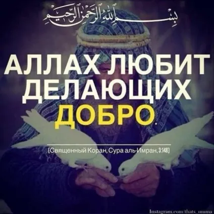 Статуси про аллаха і іслам зі змістом (іслам) Статуси про аллаха і іслам зі змістом
