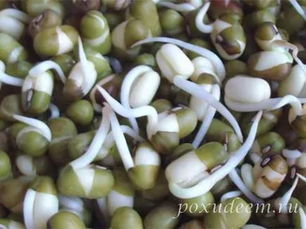 Mung бобови кълнове (Mung Bean)