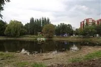 Речен транспорт отново разходки по Волга след лошо време - Волга новини