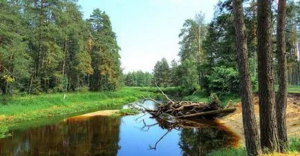 River Nerskaya folyó a külvárosban leírás, jellemzők, fotók