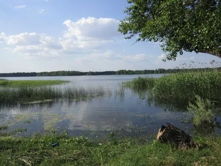 Риболов в Крим, видовете риба, от които се намират