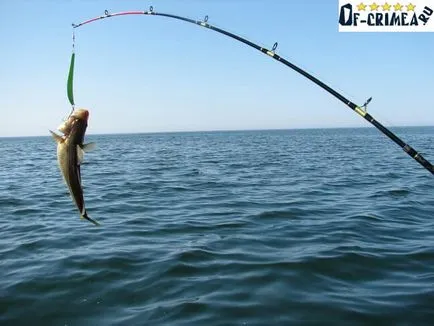 Риболов в Крим, море и езеро