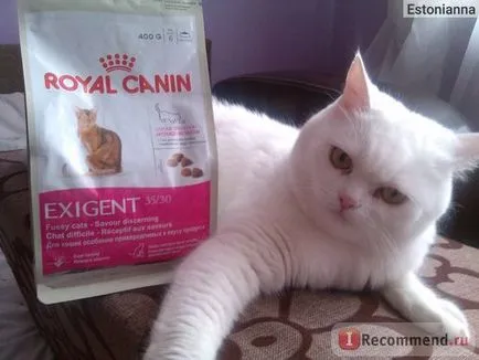 Royal Canin igényes 35 30 finnyás az íze macskák - „elég olyan jól néz ki, vagy mint én