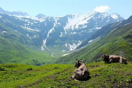 Най-високите планини в България и Европа описание, снимки