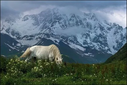 Cele mai mari munți din România și Europa descriere, fotografii