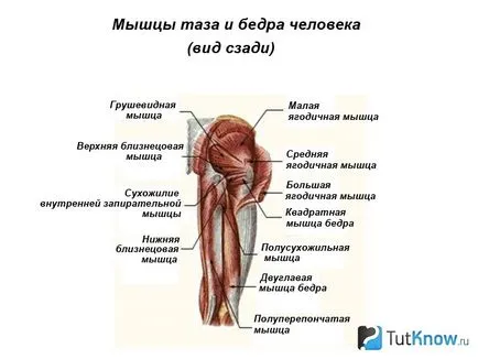 Най-ефективните упражнения за укрепване на тазовия пръстен