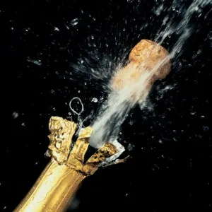 Champagne típusok és előnyök a szervezet számára, az élelmiszer és az egészség