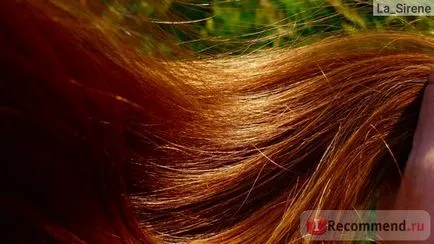 Шампунь хорс форс кінська сила для зростання і зміцнення волосся з кератином на основі вівсяних пав - (шампунь) Шампунь хорс форс кінська сила для зростання і зміцнення волосся з кератином на основі вівсяних пав -