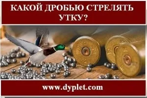 Який дробом стріляти качку