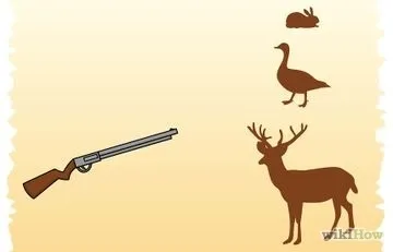 Як пересилати поштою вогнепальну зброю (вогнепальна) Як пересилати поштою вогнепальну зброю