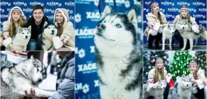 Як відкрити маркетингове агентство з нуля (маркетингове) Як відкрити маркетингове агентство з нуля
