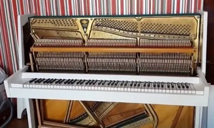 Як відреставрувати піаніно своїми руками (відреставрувати піаніно своїми) Як відреставрувати піаніно своїми руками